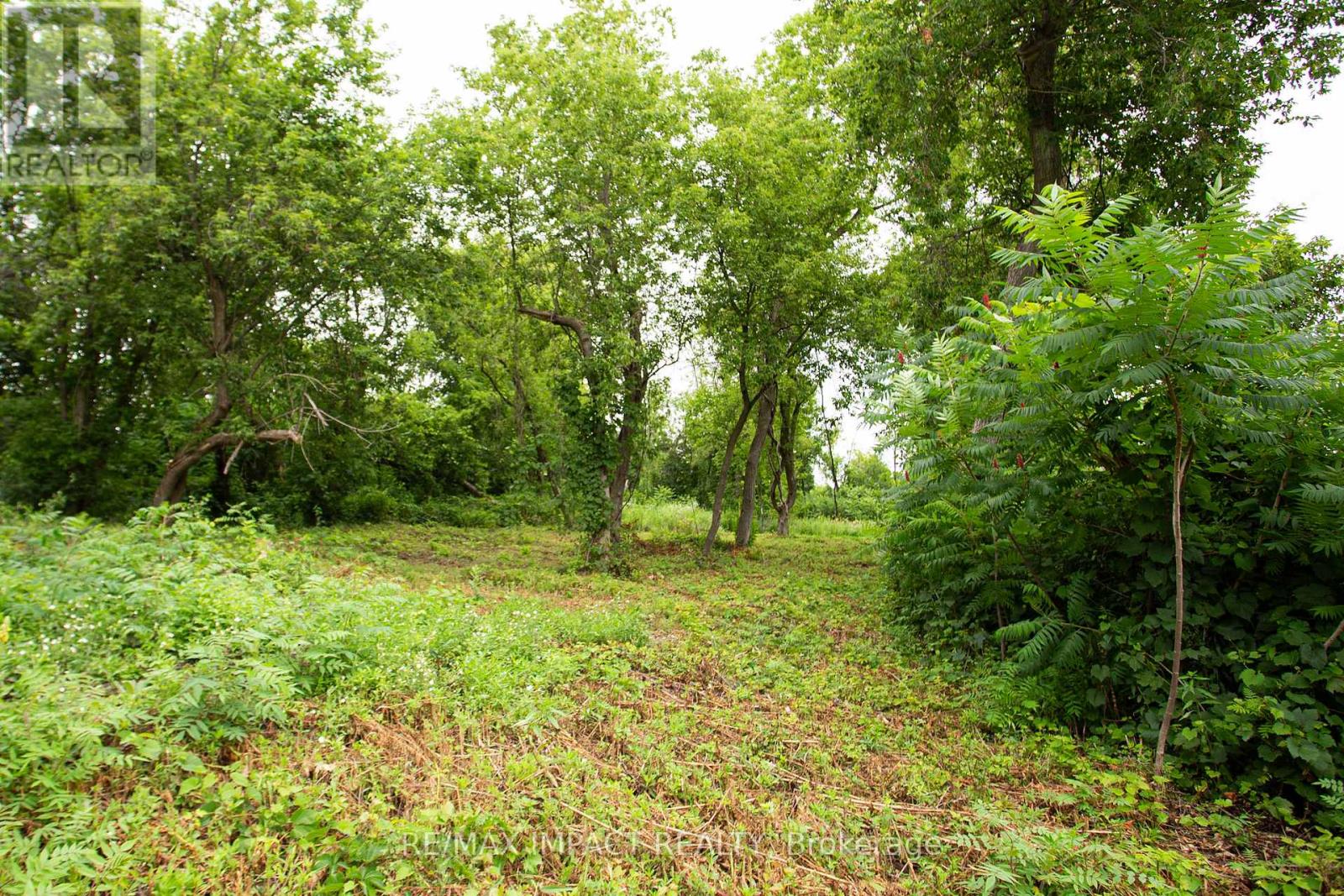 16216 Hwy 2, Pt 3 & Pt 4, Quinte West, Ontario K0K 1H0 - Photo 8 - X12529934