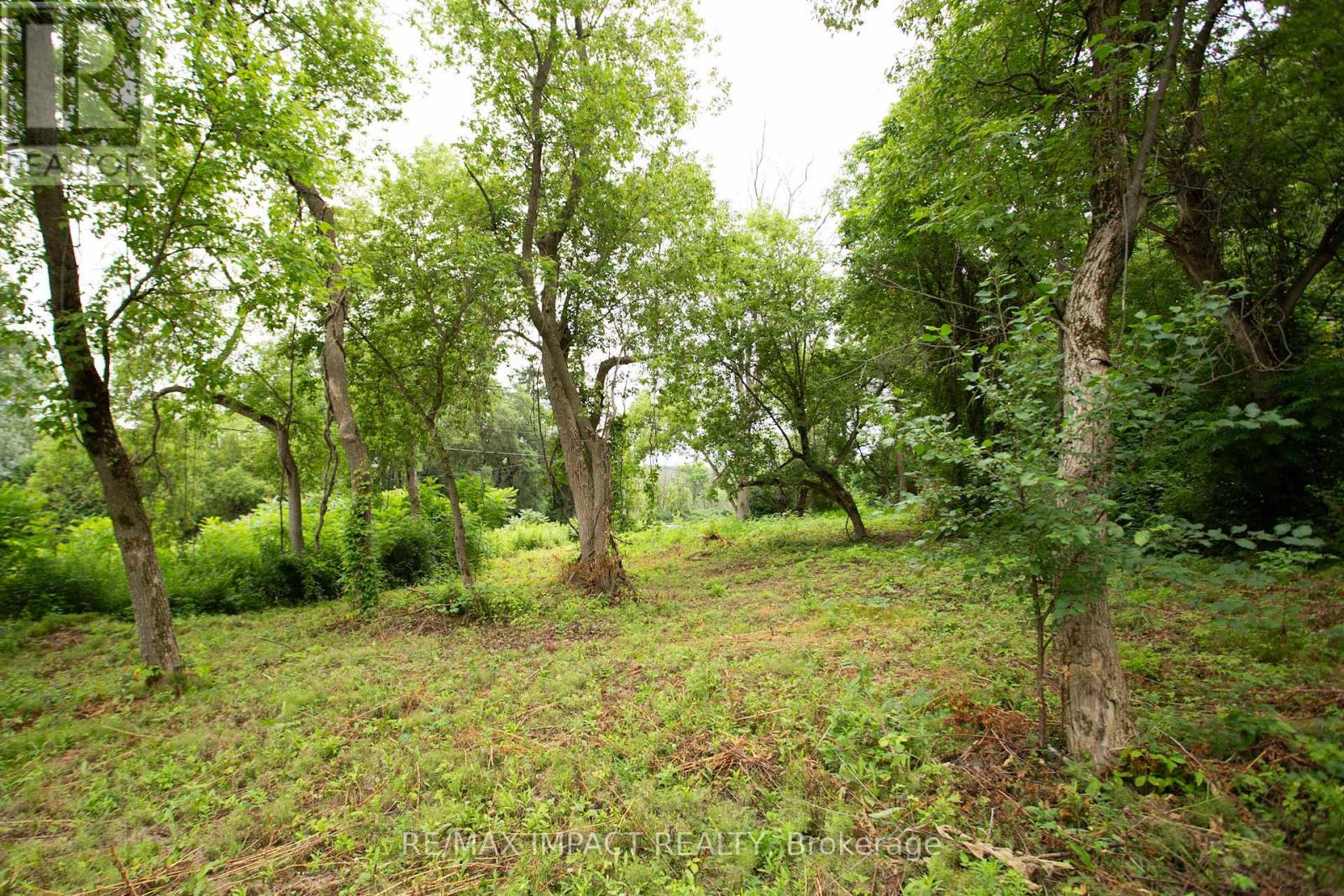 16216 Hwy 2, Pt 3 & Pt 4, Quinte West, Ontario K0K 1H0 - Photo 9 - X12529934