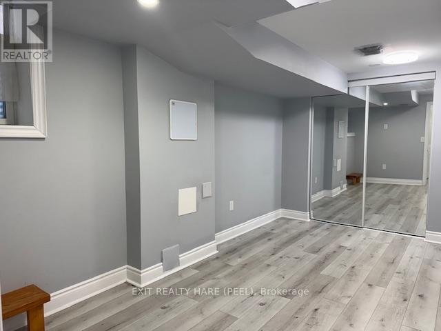 Basement - 31 Meadowlark Drive, Halton Hills, Ontario L7G 6N2 - Photo 11 - W12469133