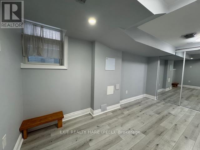 Basement - 31 Meadowlark Drive, Halton Hills, Ontario L7G 6N2 - Photo 15 - W12469133