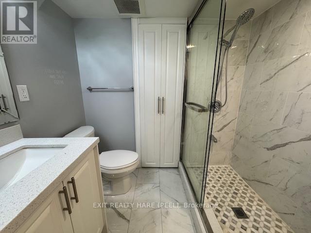 Basement - 31 Meadowlark Drive, Halton Hills, Ontario L7G 6N2 - Photo 19 - W12469133