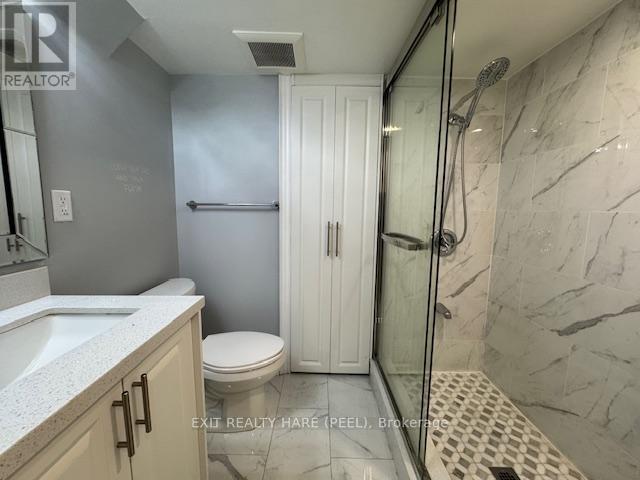 Basement - 31 Meadowlark Drive, Halton Hills, Ontario L7G 6N2 - Photo 18 - W12469133