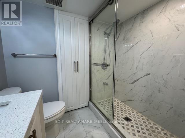 Basement - 31 Meadowlark Drive, Halton Hills, Ontario L7G 6N2 - Photo 16 - W12469133