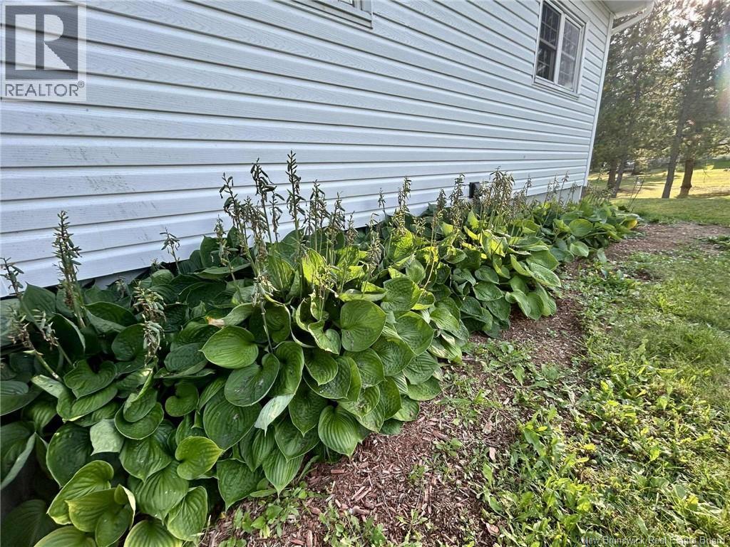 7781 Rte 117, Black River Bridge, New Brunswick  E1N 5K7 - Photo 32 - NB129901