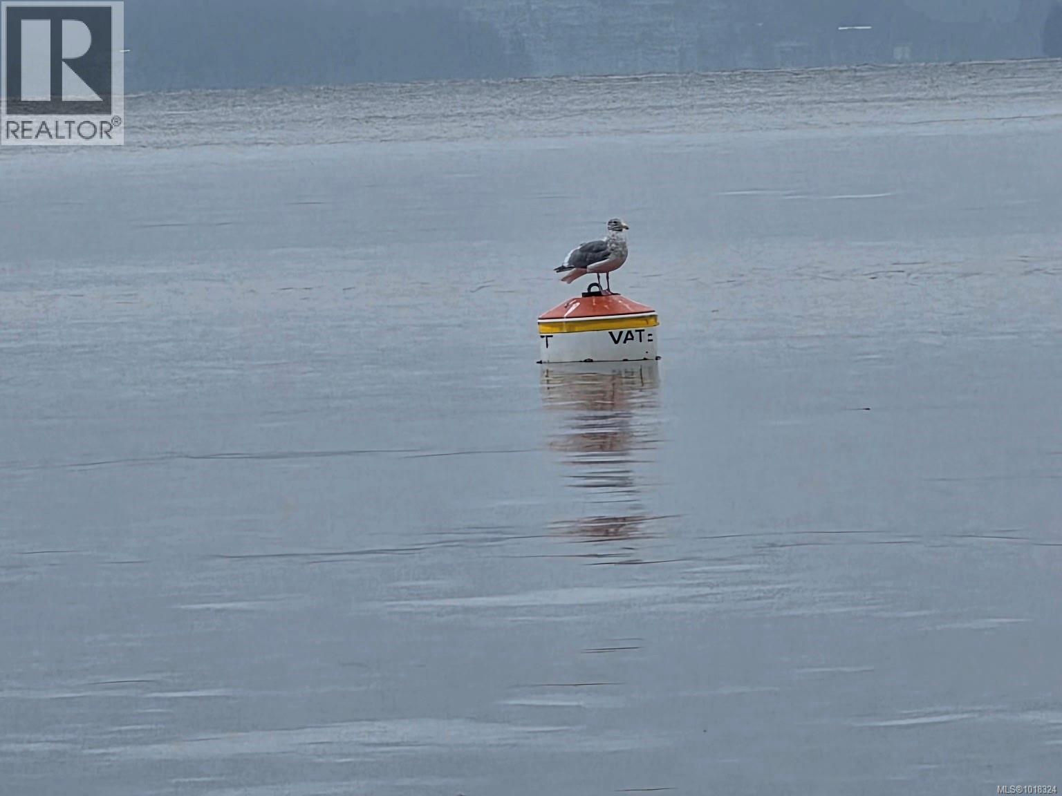 2851 Whiskey Point Rd, Mill Bay, British Columbia  V0R 2P2 - Photo 96 - 1018324