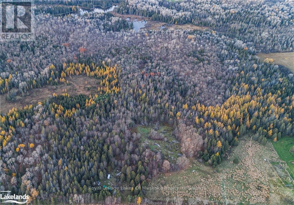 Lot 2 Hill And Gully Road, Ryerson, Ontario  P0A 1C0 - Photo 10 - X12530194