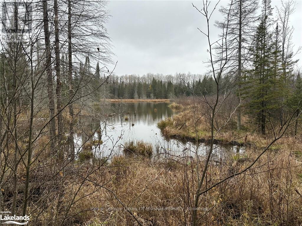 Lot 2 Hill And Gully Road, Ryerson, Ontario  P0A 1C0 - Photo 3 - X12530194