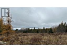 LOT 2 HILL AND GULLY ROAD, Ryerson, Ontario