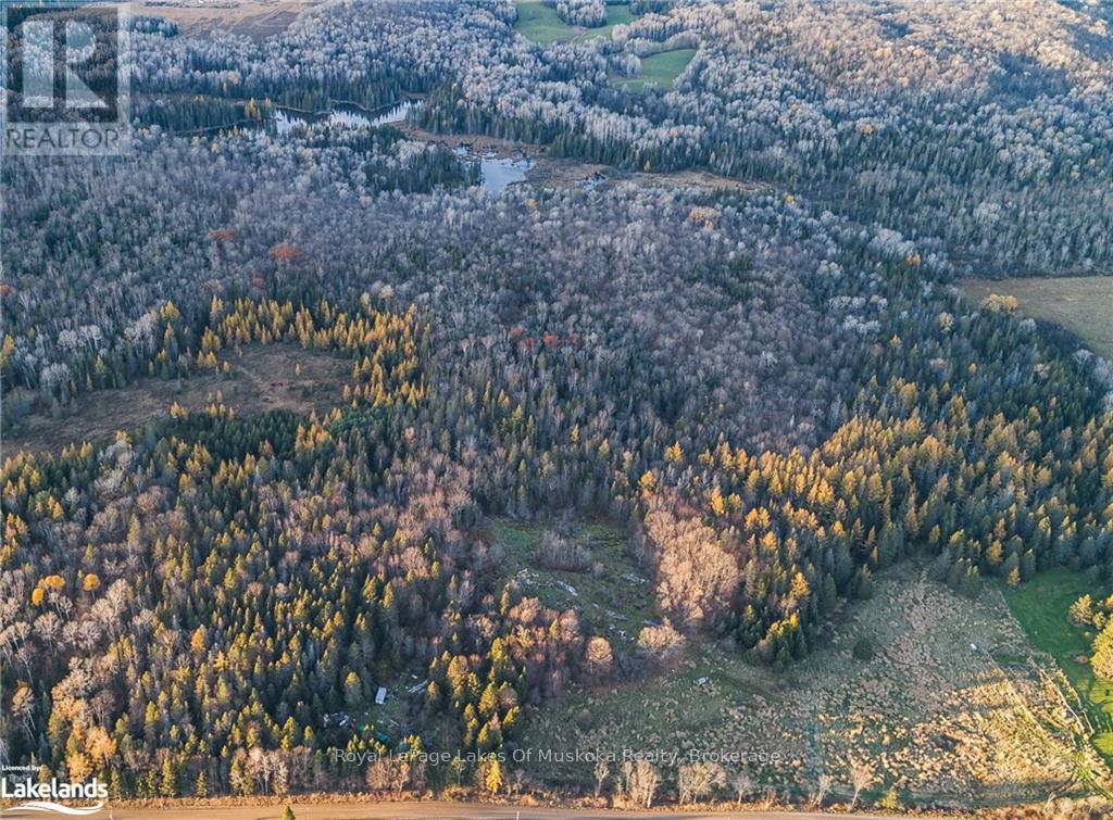 Lot 3 Hill And Gully Road, Ryerson, Ontario  P0A 1C0 - Photo 9 - X12530200