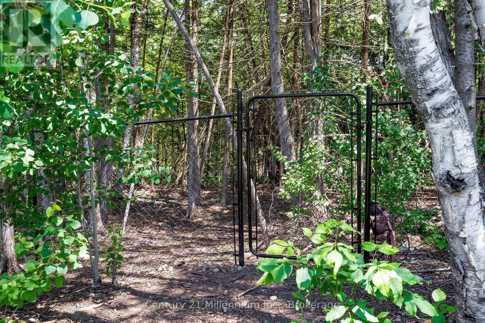 107 Tekiah Road, Blue Mountains, Ontario  N0H 1J0 - Photo 4 - X12530364