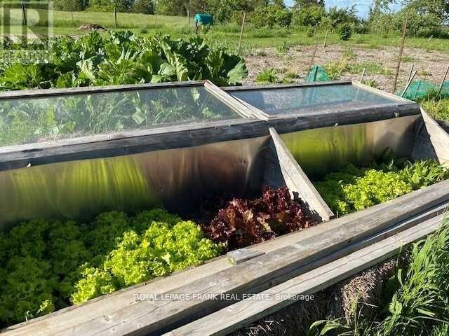 3071 5th Line E, Trent Hills, Ontario K0L 1L0 - Photo 32 - X12523528