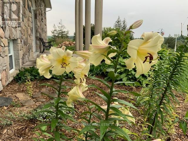 3071 5th Line E, Trent Hills, Ontario K0L 1L0 - Photo 41 - X12523528