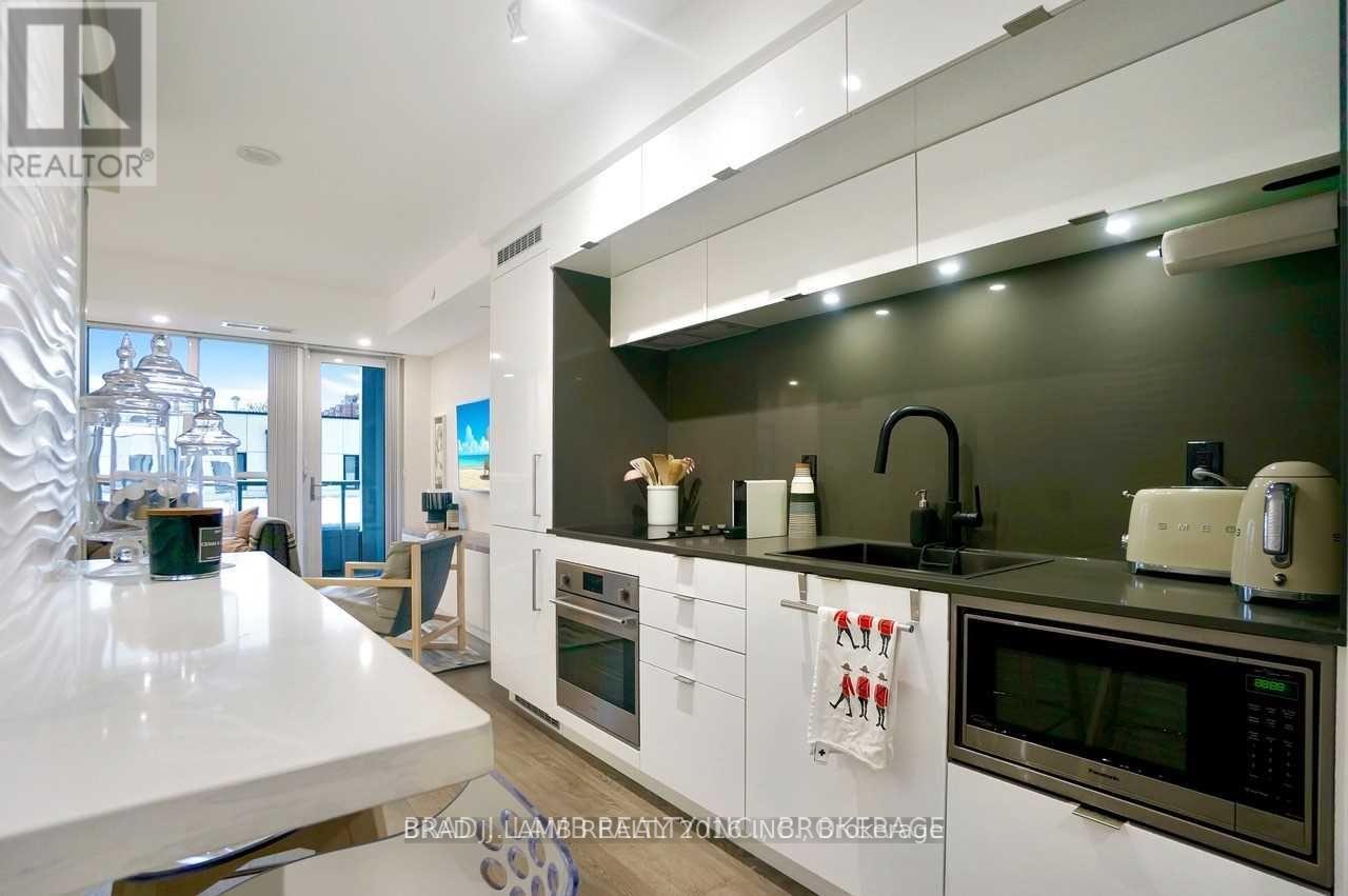 306 - 38 Cameron Street, Toronto, Ontario  M5V 1N6 - Photo 12 - C12530380