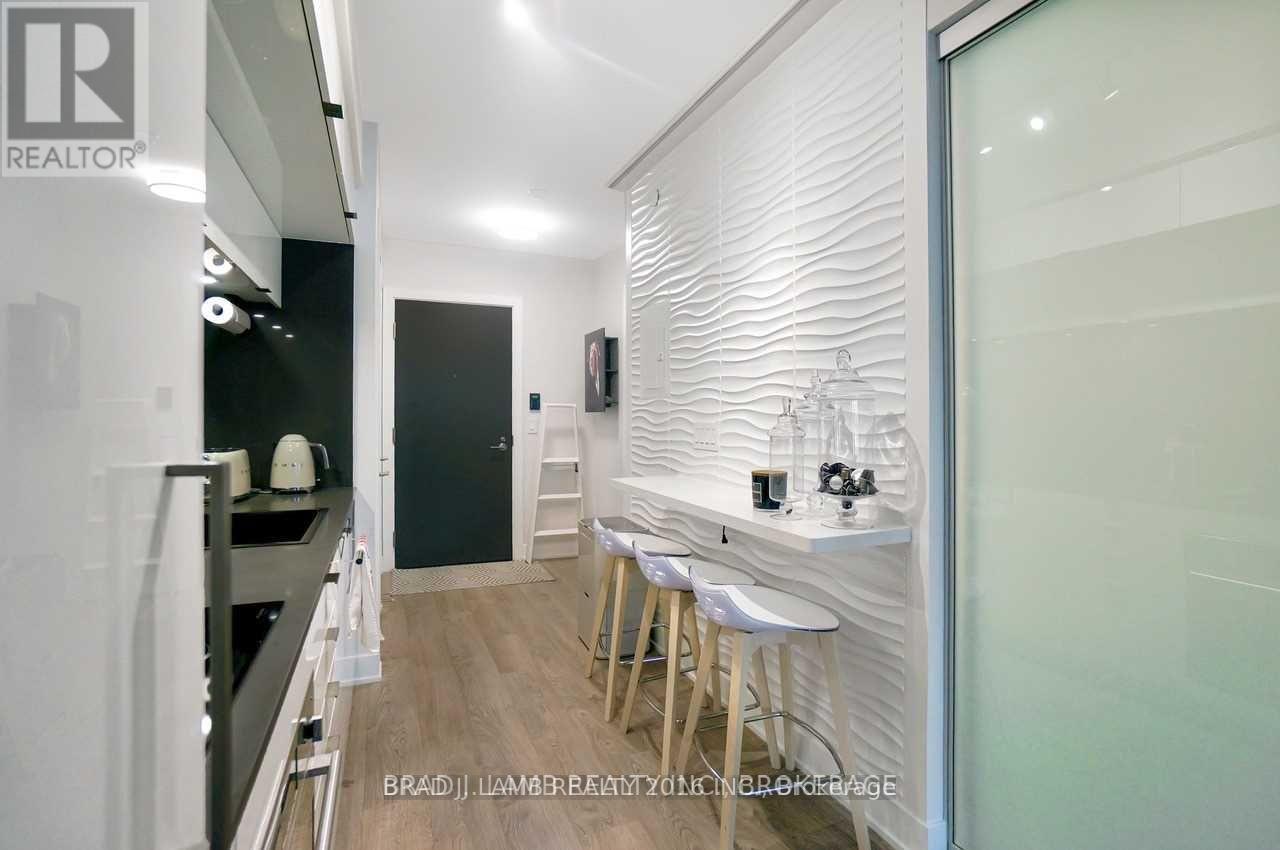 306 - 38 Cameron Street, Toronto, Ontario  M5V 1N6 - Photo 13 - C12530380