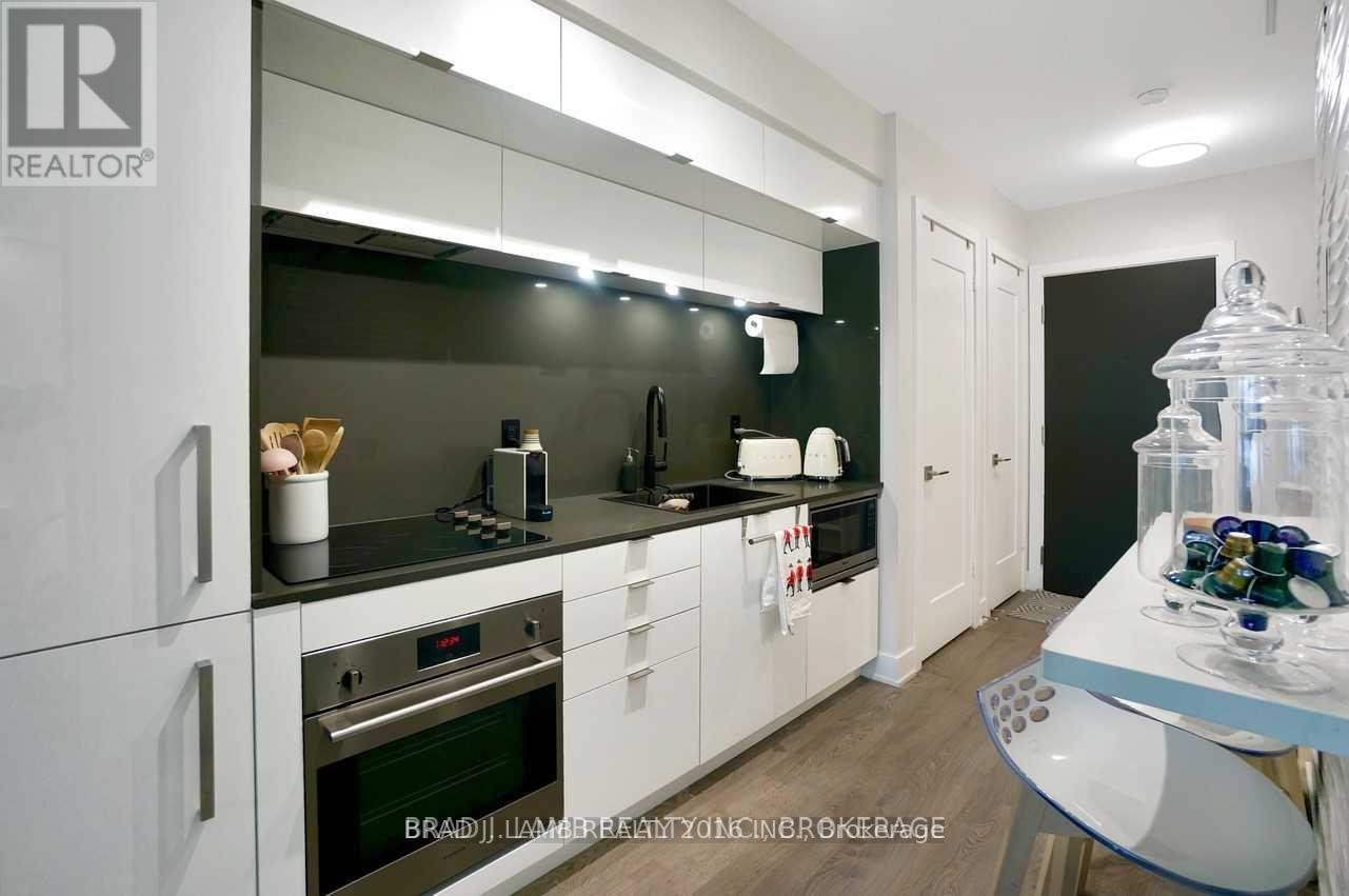 306 - 38 Cameron Street, Toronto, Ontario  M5V 1N6 - Photo 23 - C12530380