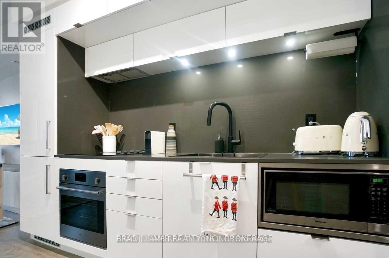 306 - 38 Cameron Street, Toronto, Ontario  M5V 1N6 - Photo 8 - C12530380