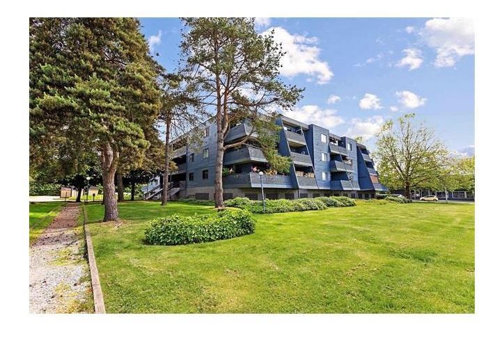 105 17661 58a Avenue, Surrey, British Columbia  V3S 1N4 - Photo 4 - R3066282