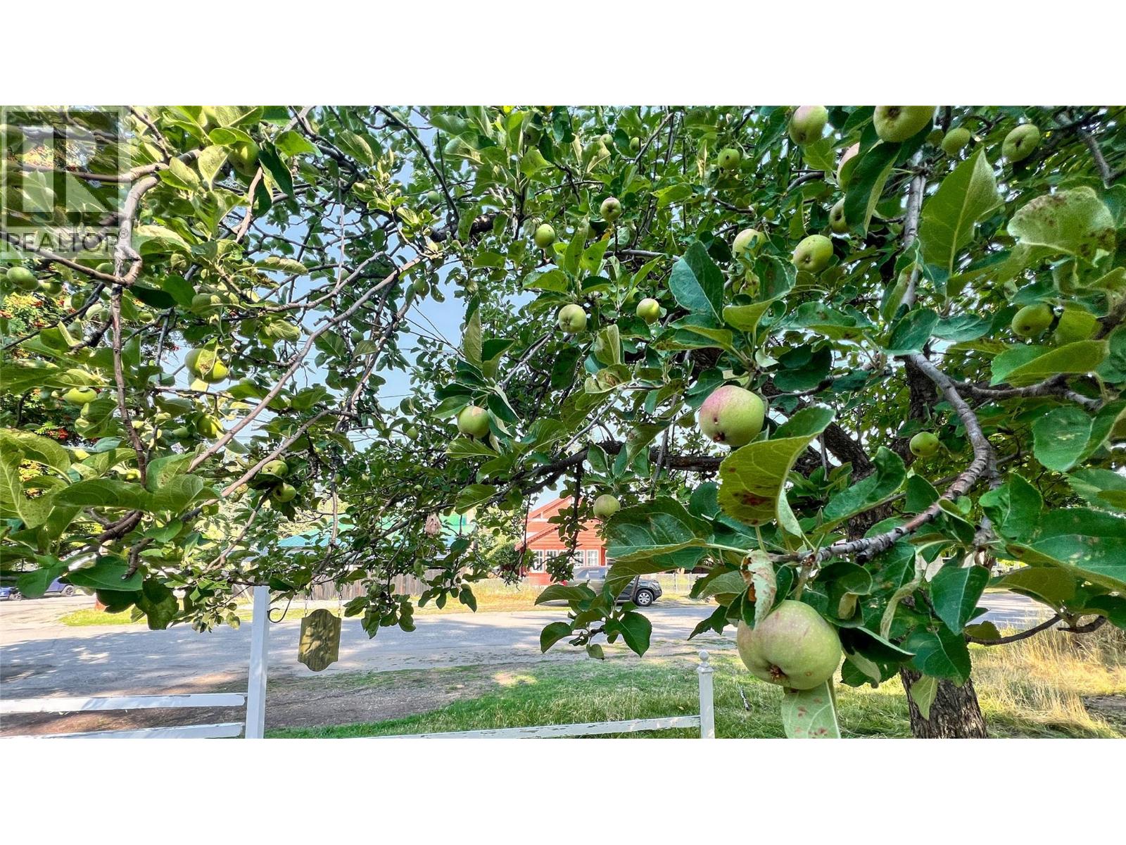 250 Otis Street, Kimberley, British Columbia  V1A 1V5 - Photo 23 - 10367569