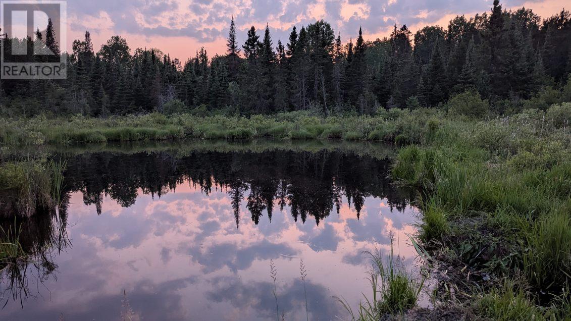 321 Hwy 597, Neebing, Ontario P7L 0E8 - Photo 48 - TB253053