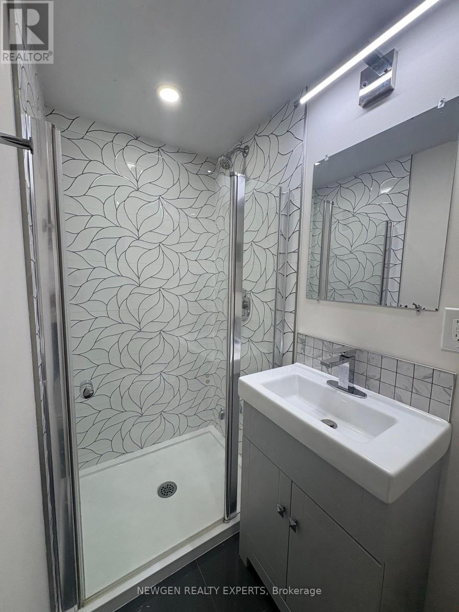 Basement - 102 Lanark Circle E, Brampton, Ontario  L6X 5L4 - Photo 11 - W12526554