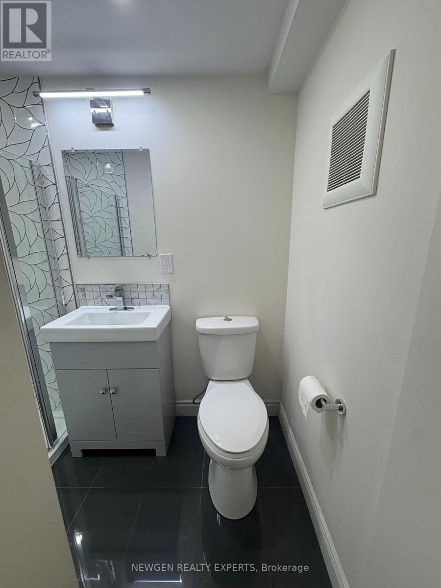 Basement - 102 Lanark Circle E, Brampton, Ontario  L6X 5L4 - Photo 10 - W12526554