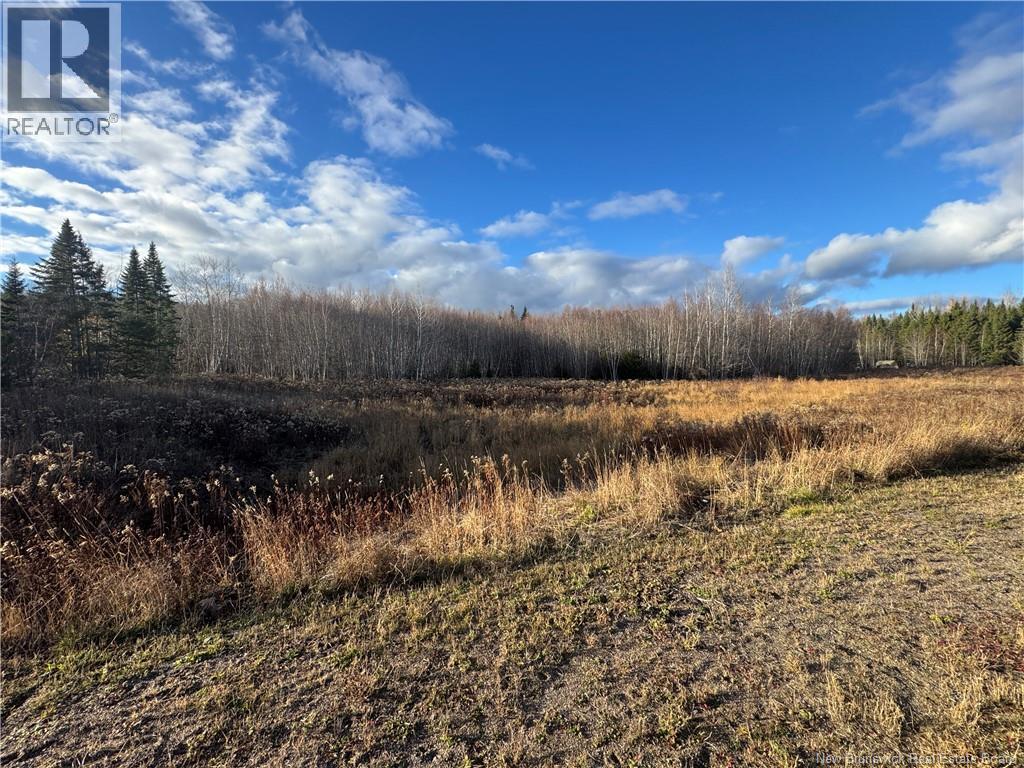 Lot 24-1 Mason Avenue, Fredericton, New Brunswick  E3A 9Y5 - Photo 3 - NB129925