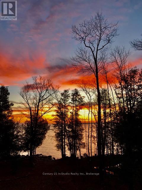 504877 Grey 1 Road, Georgian Bluffs, Ontario N0H 1S0 - Photo 49 - X12241446