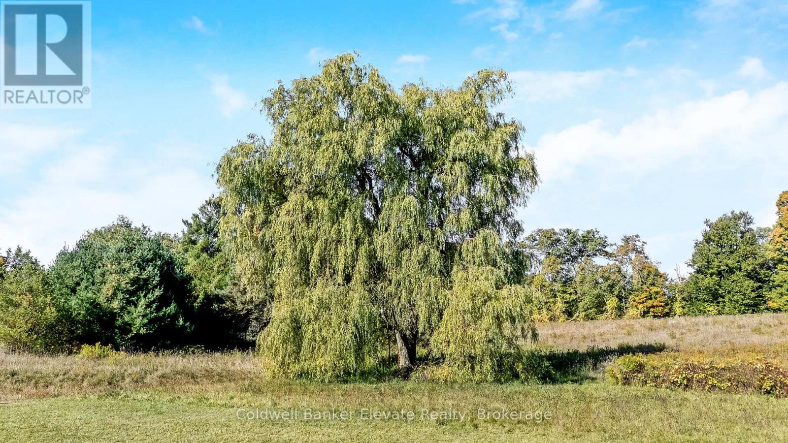 13968 9th Line, Halton Hills, Ontario  L7G 4S8 - Photo 24 - W12530472