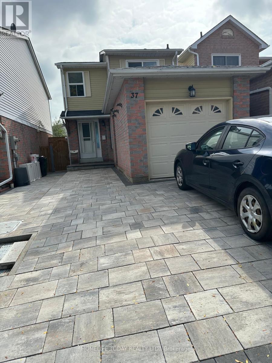 Main - 37 Frontier Pathway, Toronto, Ontario  M1B 4G6 - Photo 2 - E12530642