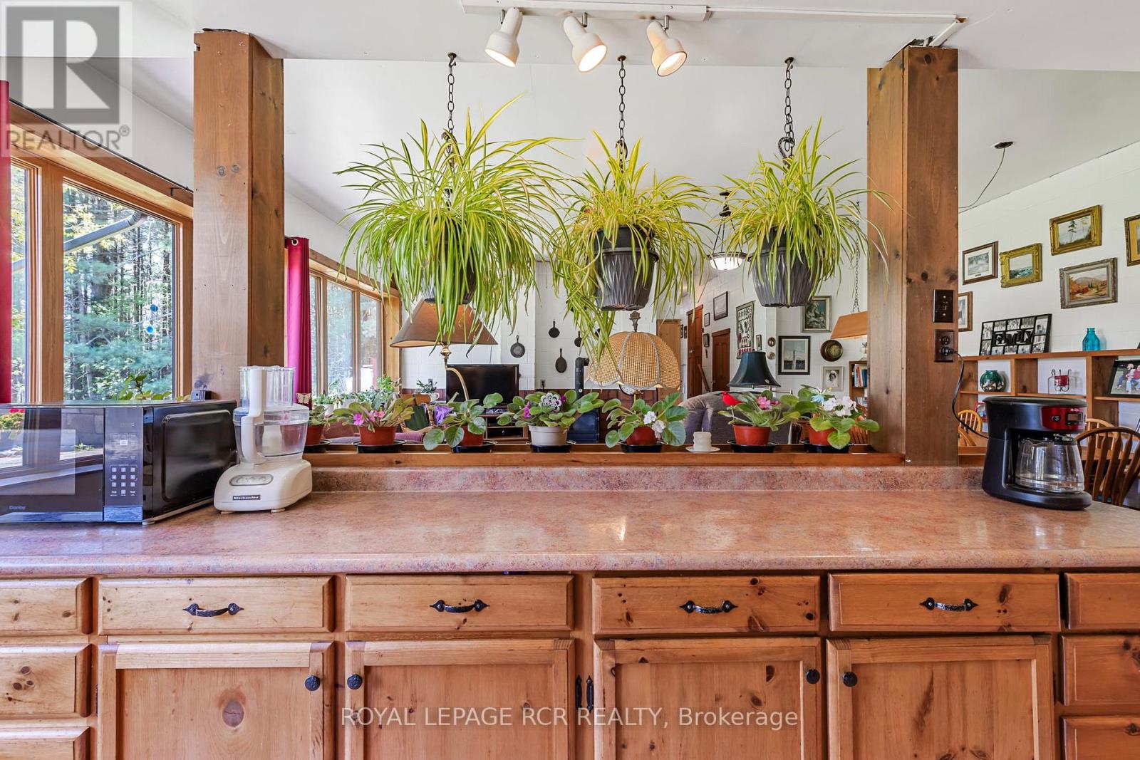 1092 Ballycroy Road, Adjala-Tosorontio, Ontario  L0N 1P0 - Photo 6 - N12530692