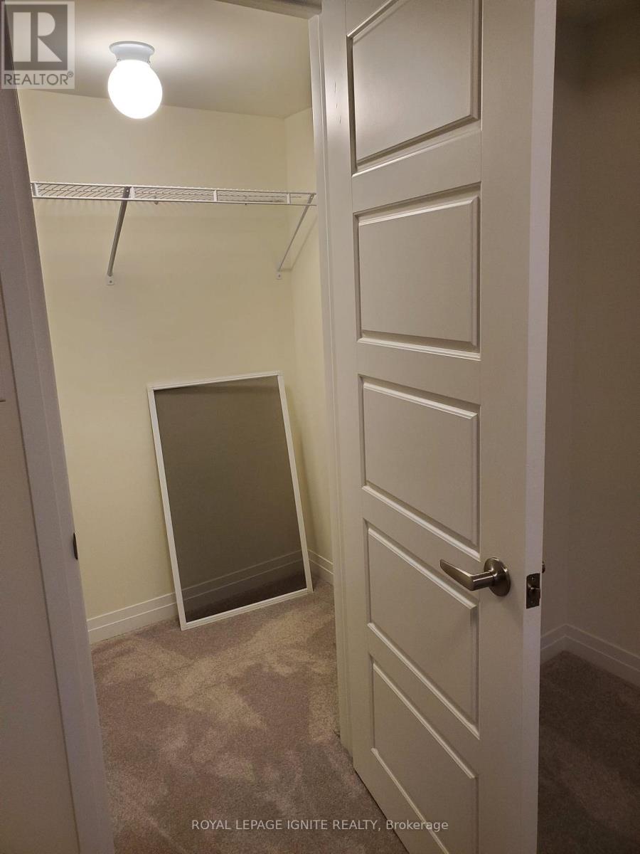 Unit 3 - 250 Lagerfeld Drive, Brampton, Ontario  L7A 5G9 - Photo 13 - W12530618