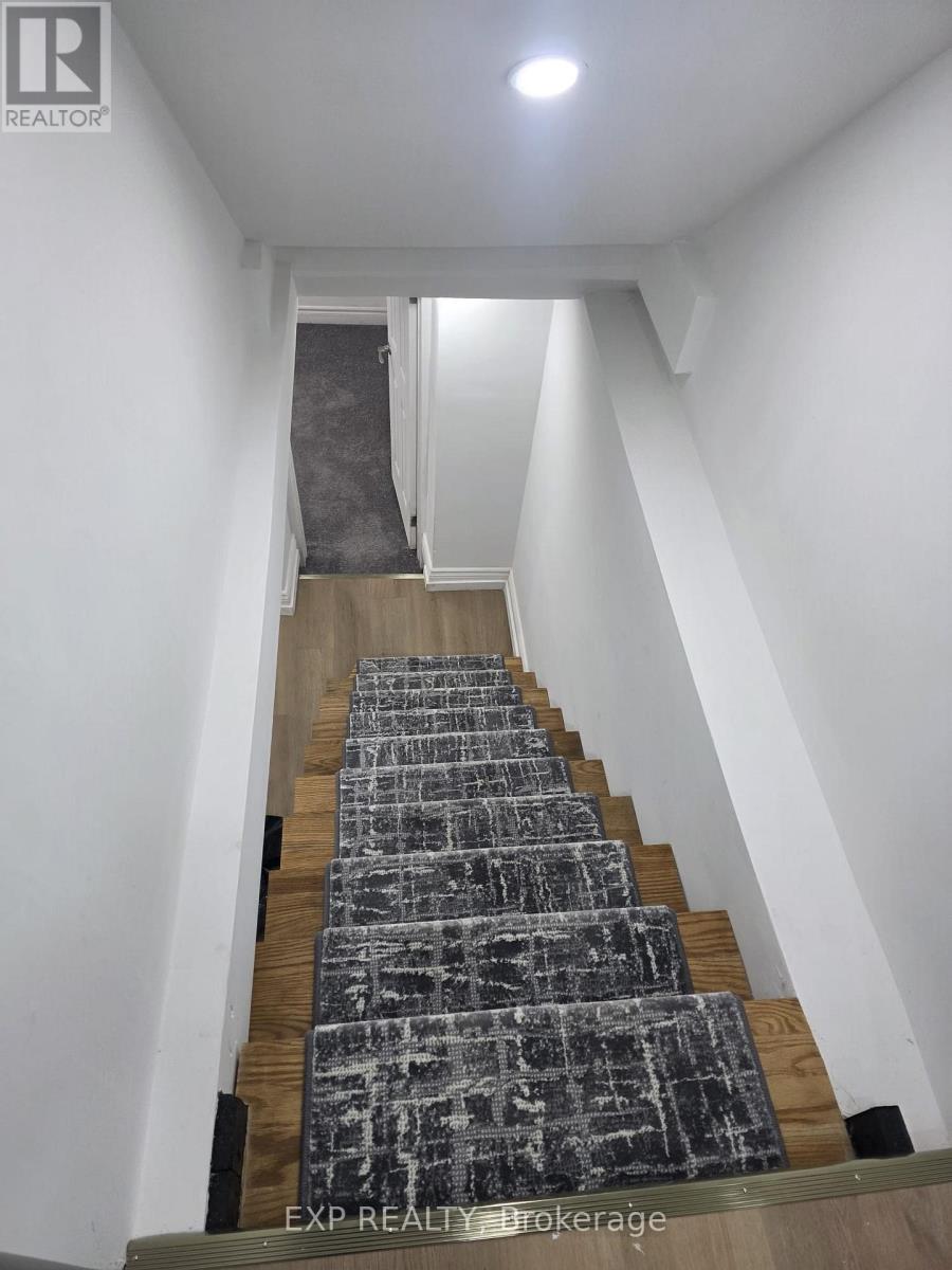 Basement - 6564 Level Avenue, Niagara Falls, Ontario  L2G 4B7 - Photo 5 - X12530740