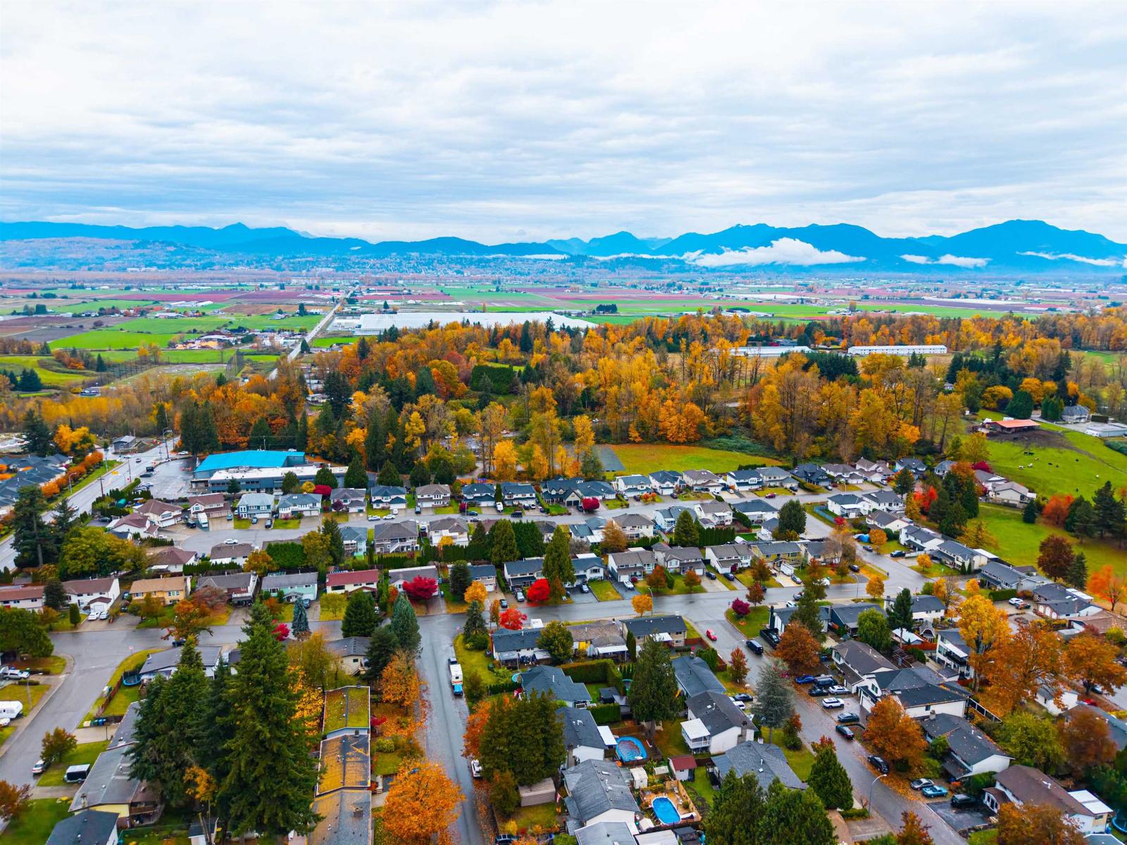 3782 Lindsay Street, Abbotsford, British Columbia  V2S 7A3 - Photo 38 - R3065959