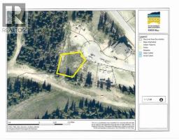 185 Snow Mountain Place, apex mountain, British Columbia