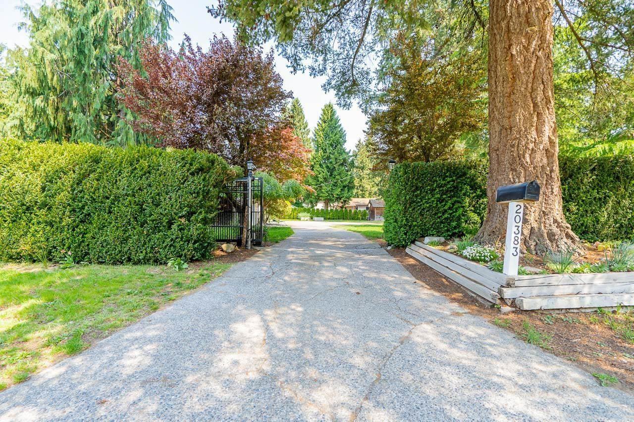 20383 41 Avenue, Langley, British Columbia V3A 5N1 - Photo 23 - R3066279