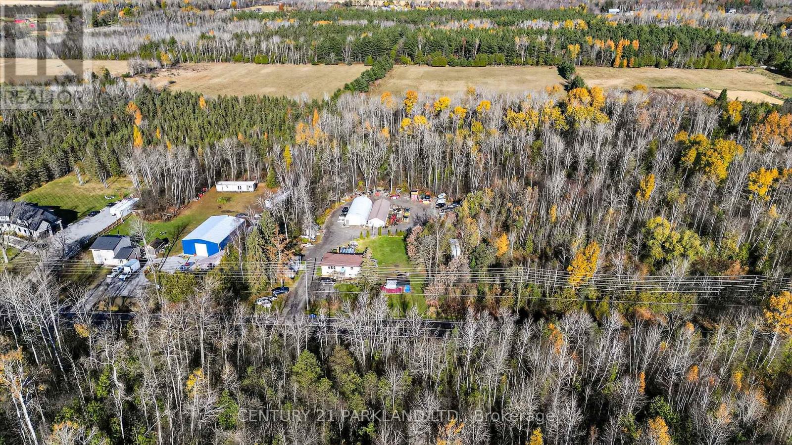 4762 Old Homestead Road, Georgina, Ontario  L0E 1R0 - Photo 29 - N12530868