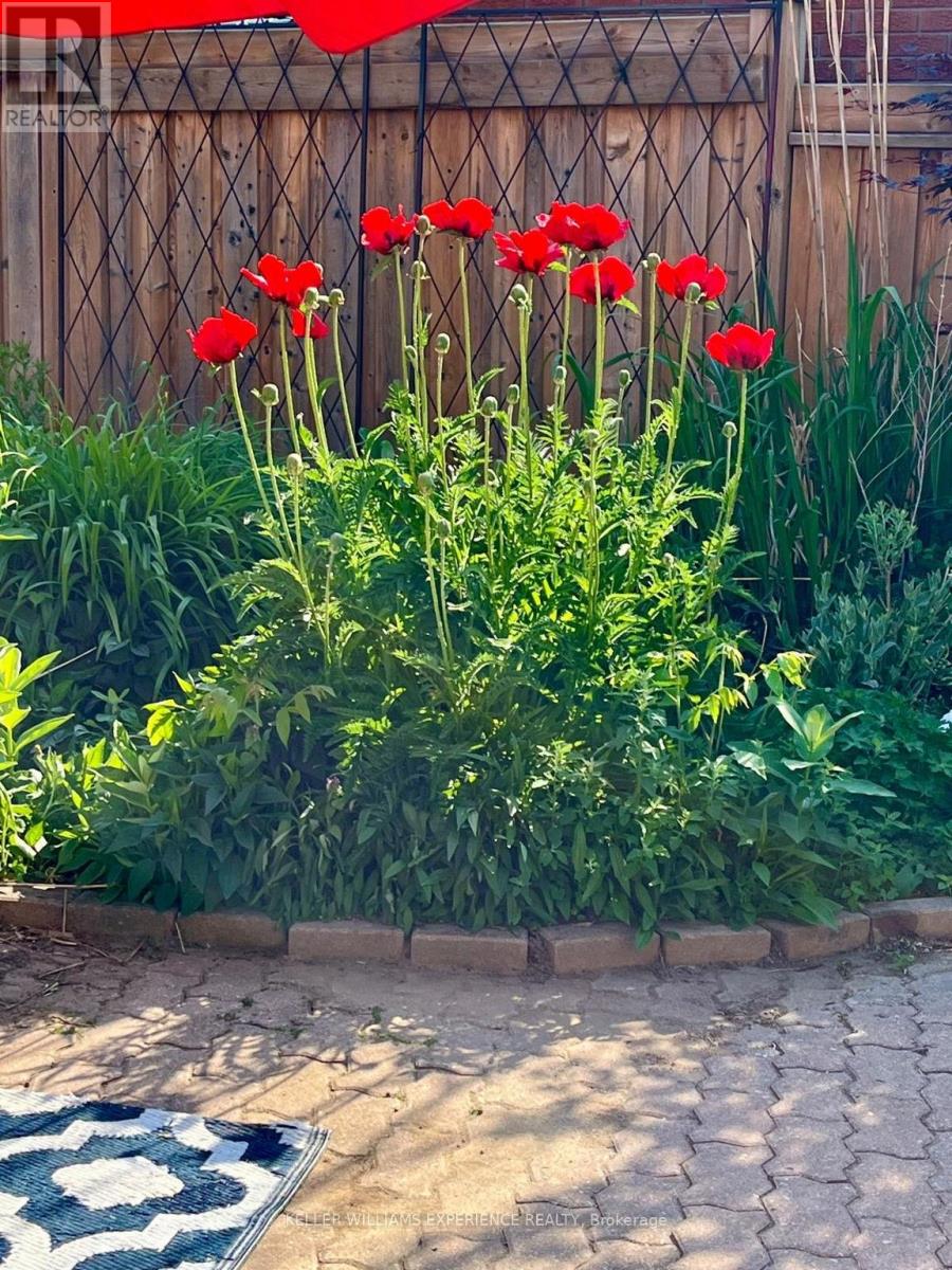 35 Glenridge Road, Barrie, Ontario  L4N 2X9 - Photo 46 - S12530952