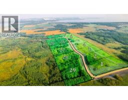 SW 1/4 Sec 21-42-1-5; Lot 6