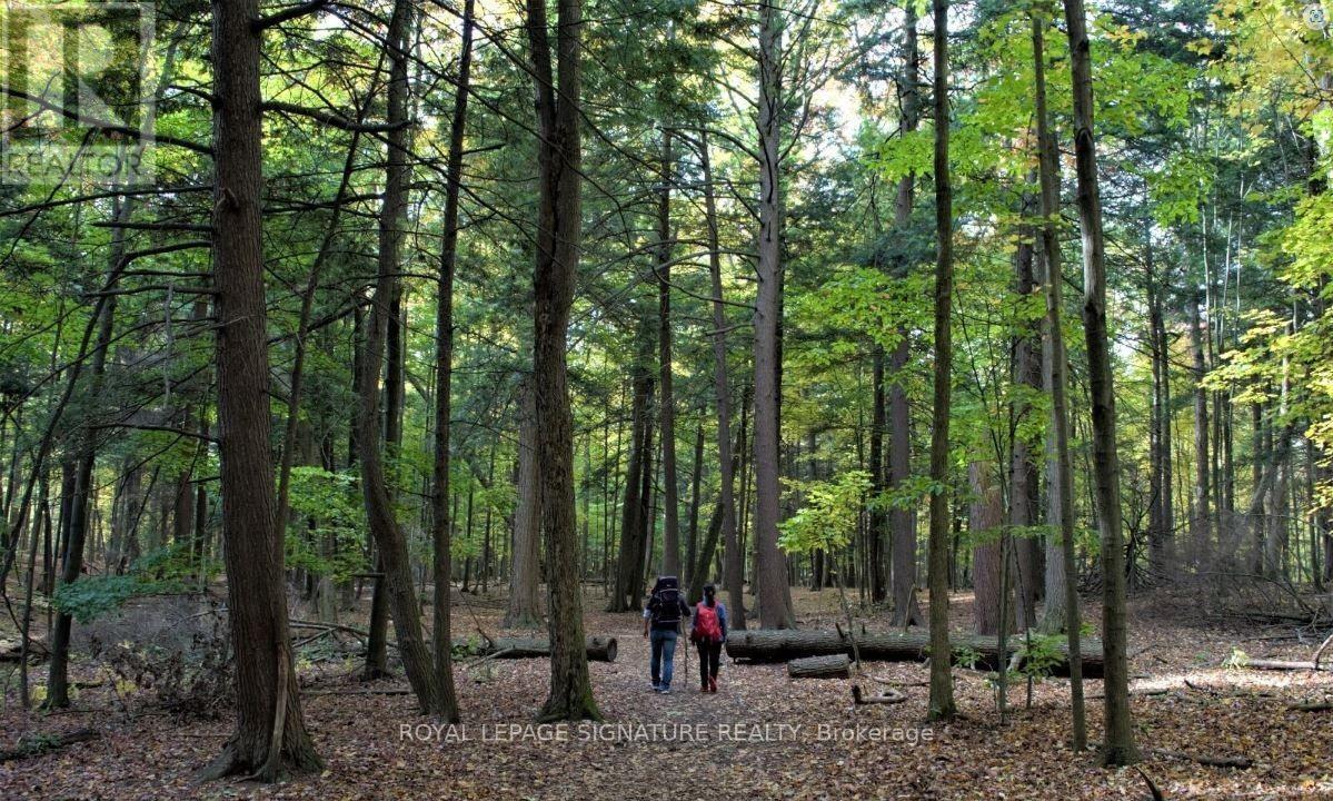 314 - 7439 Kinston Road, Toronto, Ontario  M1B 5S3 - Photo 23 - E12530980