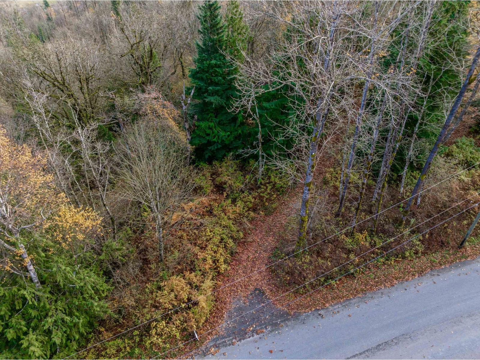 Lt.4 Ohman Road, Mission, British Columbia  V0M 1N0 - Photo 2 - R3064920