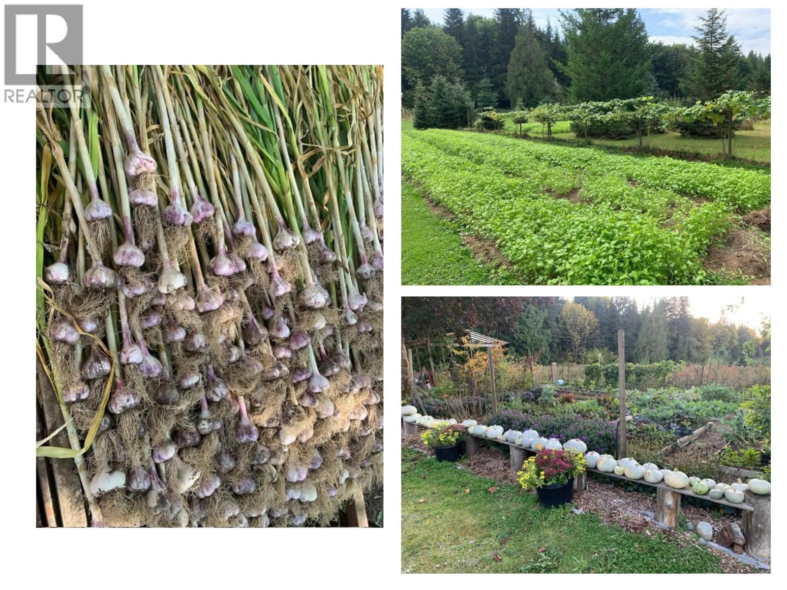 25908 124 Avenue, Maple Ridge, British Columbia  V4R 1B8 - Photo 34 - R3065744