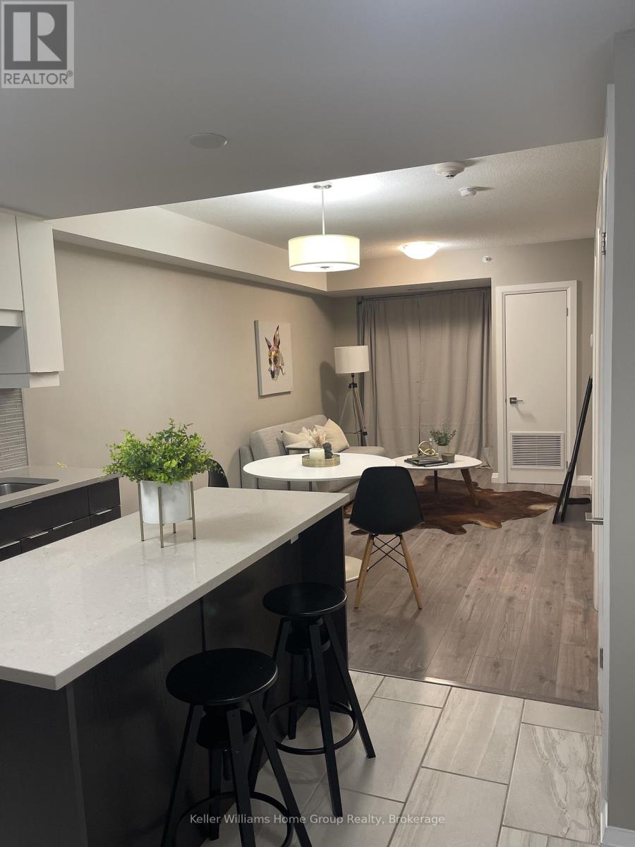 205 - 63 Arthur Street S, Guelph, Ontario  N1E 0A8 - Photo 10 - X12531132