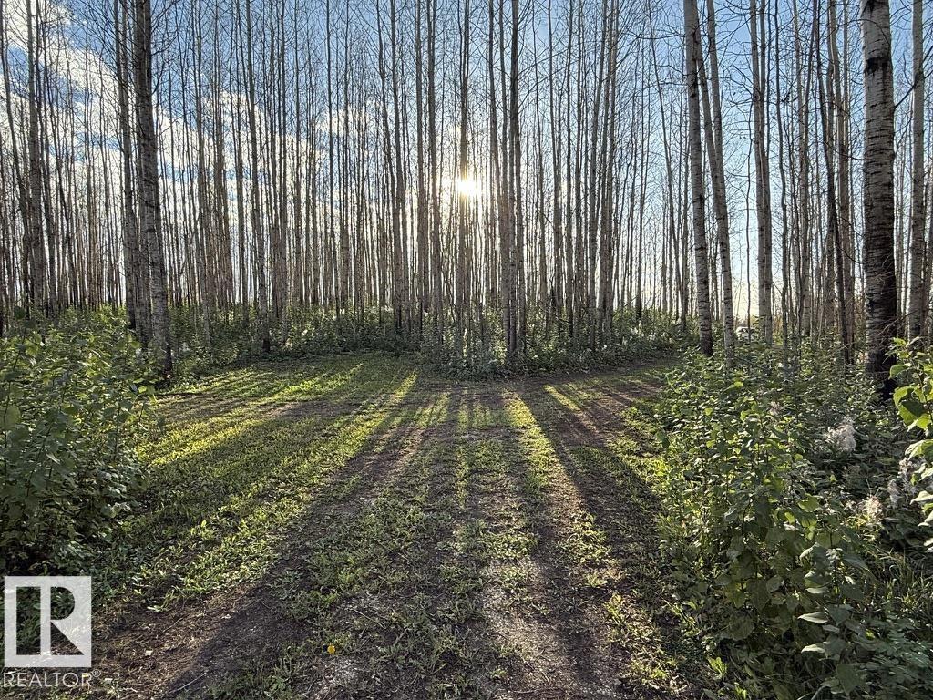 #1 Twp 630 Rr 26, Rural Westlock County, Alberta  T0G 0S0 - Photo 7 - E4465341