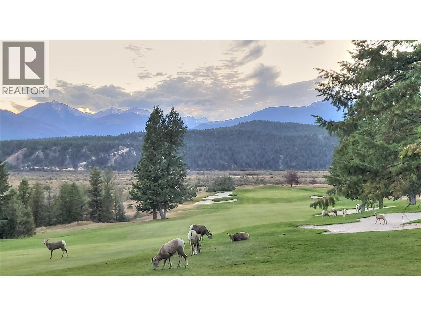 500 Bighorn Boulevard Unit# 532 B, Radium Hot Springs, British Columbia V0A 1M0 - Photo 46 - 10365046