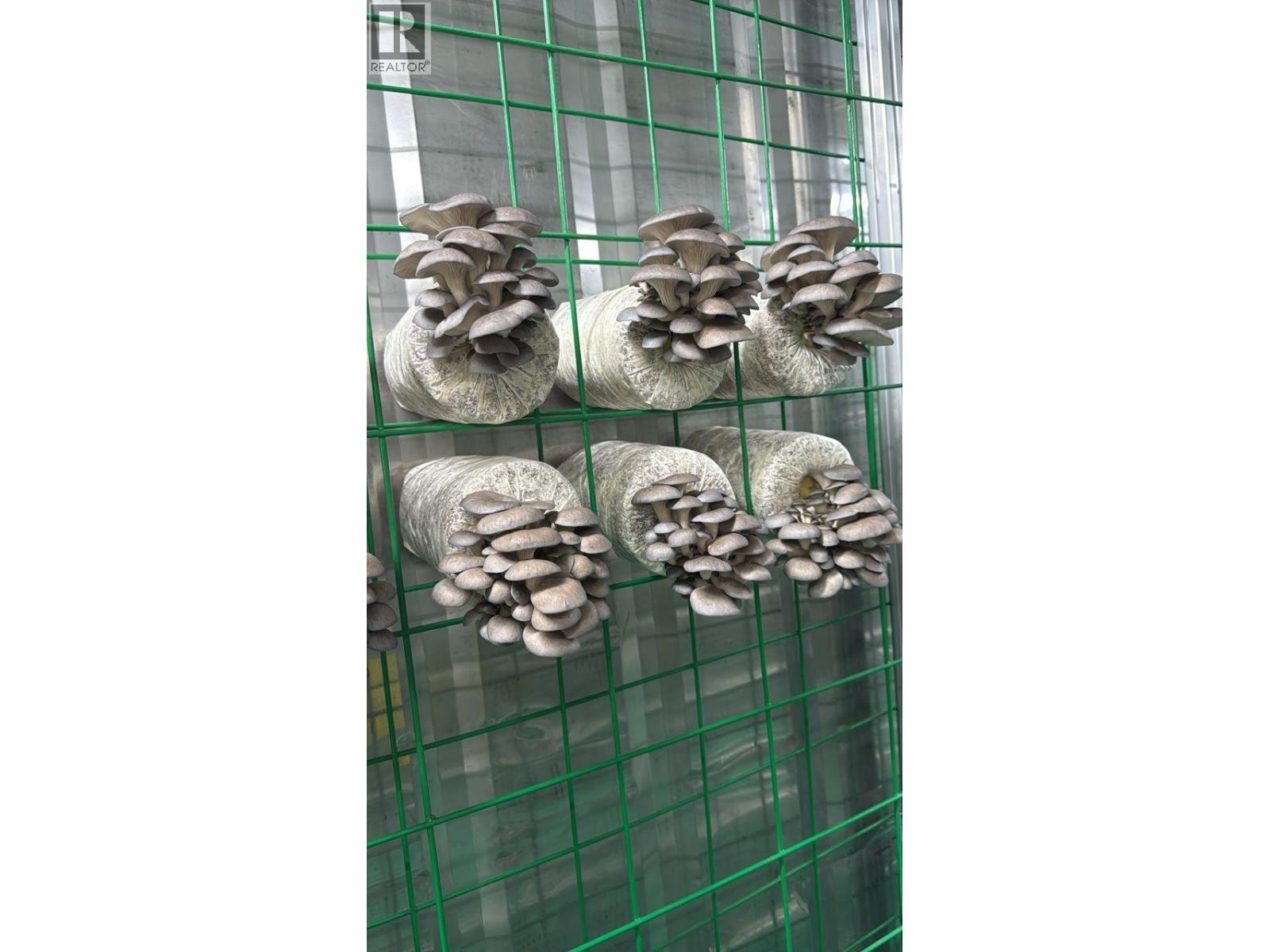 12022 Confidential Street, Vancouver, British Columbia  V0V 0V0 - Photo 4 - C8073691