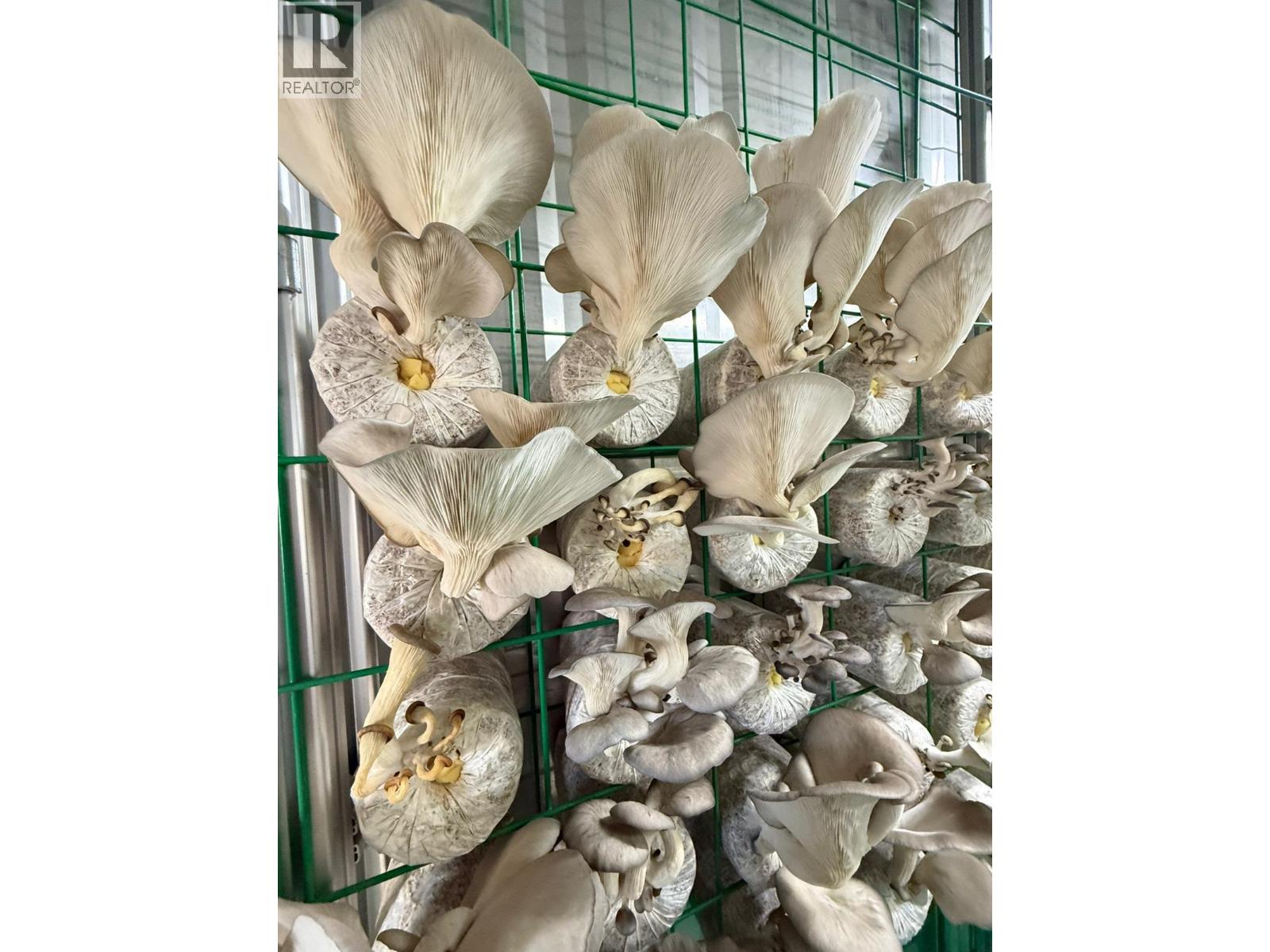 12022 Confidential Street, Vancouver, British Columbia  V0V 0V0 - Photo 8 - C8073691