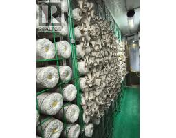 12022 CONFIDENTIAL STREET, Vancouver, British Columbia