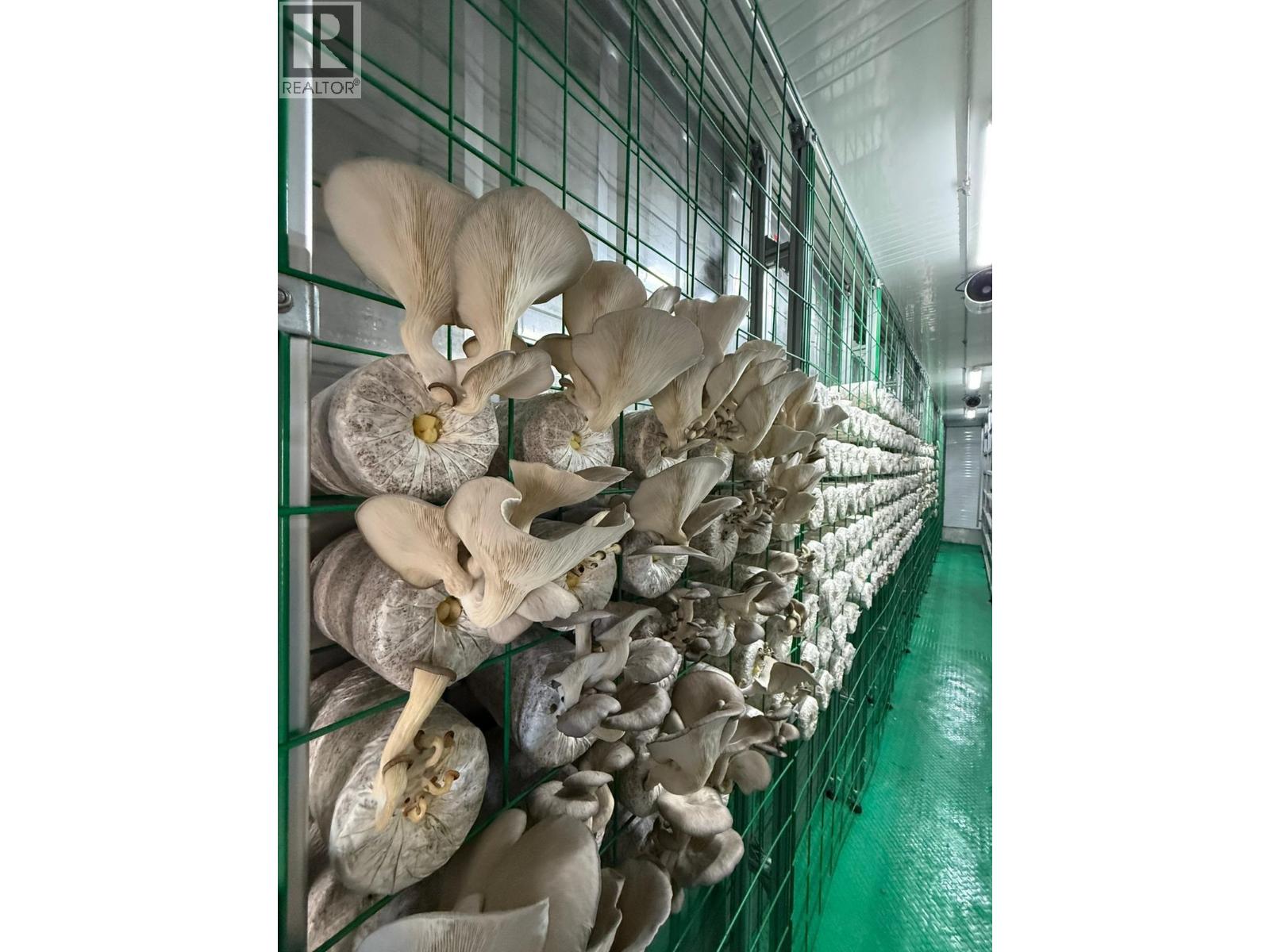 12022 Confidential Street, Vancouver, British Columbia  V0V 0V0 - Photo 7 - C8073691