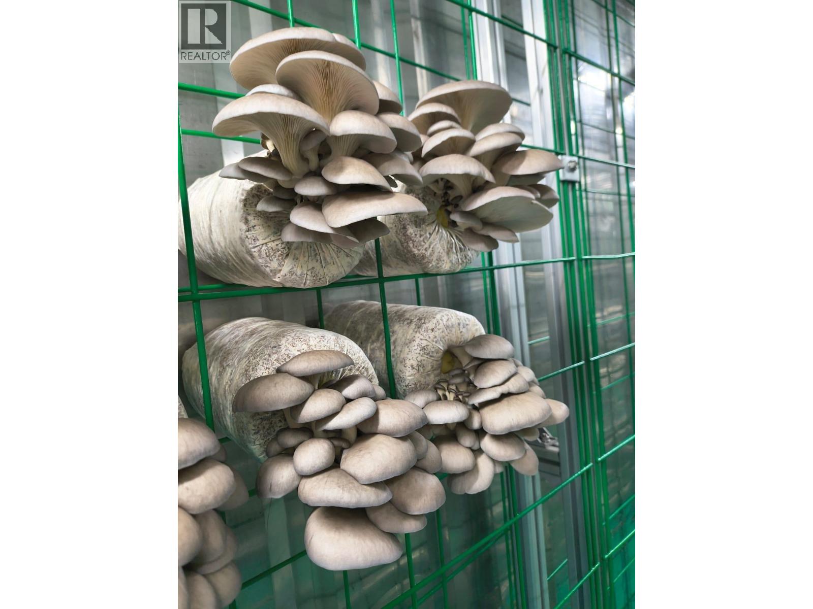 12022 Confidential Street, Vancouver, British Columbia  V0V 0V0 - Photo 3 - C8073691