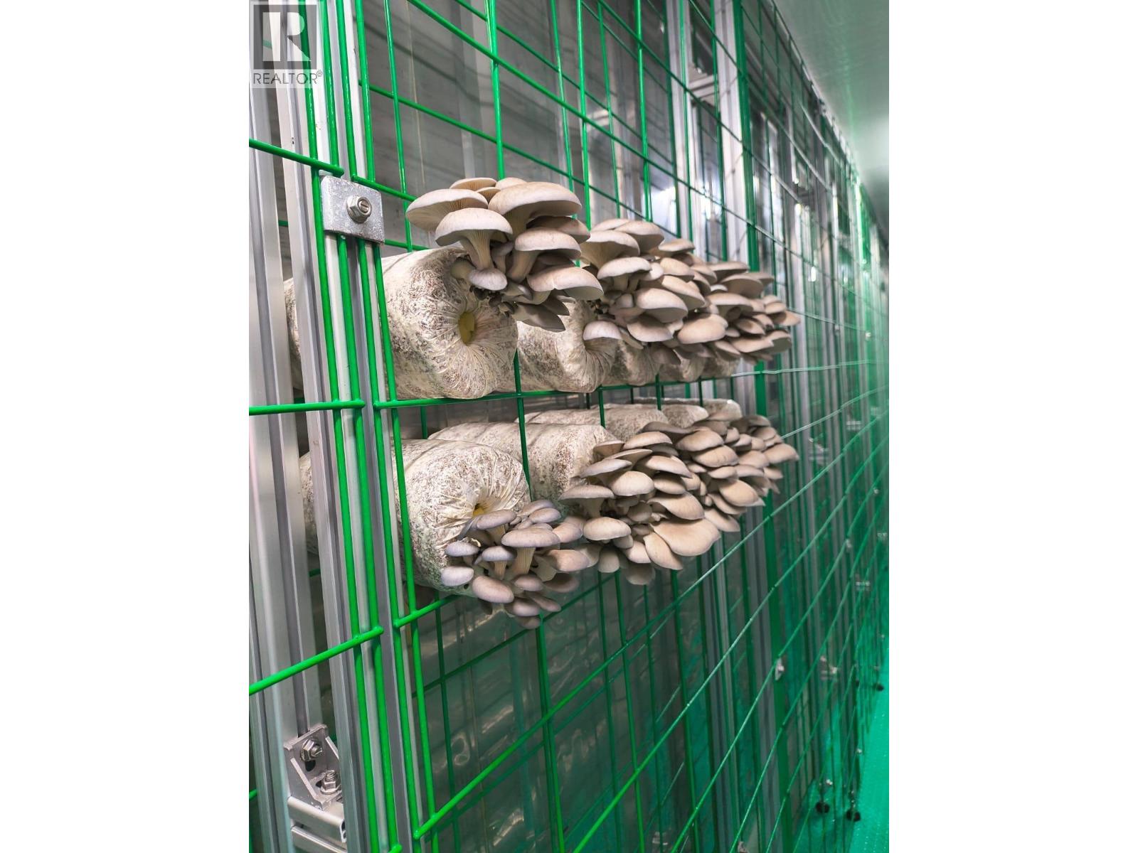 12022 Confidential Street, Vancouver, British Columbia  V0V 0V0 - Photo 9 - C8073691